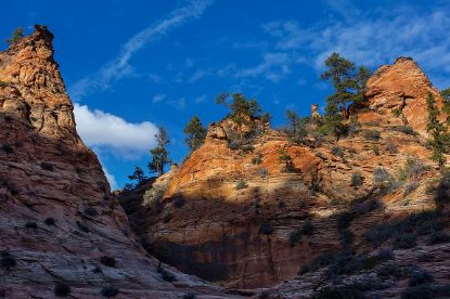 Picture of Breathtaking Zion National Park Landscapes - Sunset Peak