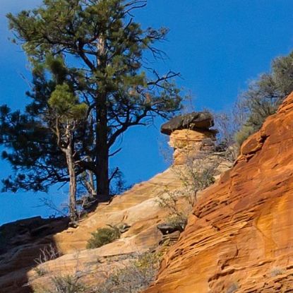 Picture of Breathtaking Zion National Park Landscapes - Sunset Peak