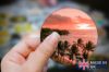 Picture of Coastal Sunset: Aerial Photo Sticker with Palm Trees