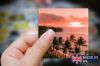 Picture of Coastal Sunset: Aerial Photo Sticker with Palm Trees