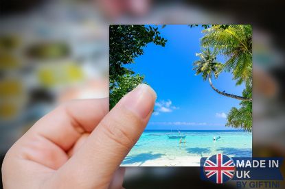 Picture of Tropical Paradise Photo Sticker - Exquisite Nature-Inspired Imagery