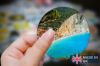 Picture of Vibrant Beach Sticker - Felicia Simion Style