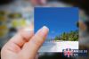 Picture of Tropical Paradise Photo Sticker - Bring the Beach to You!